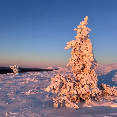 The Atmosphere Of In Ferienhaus *