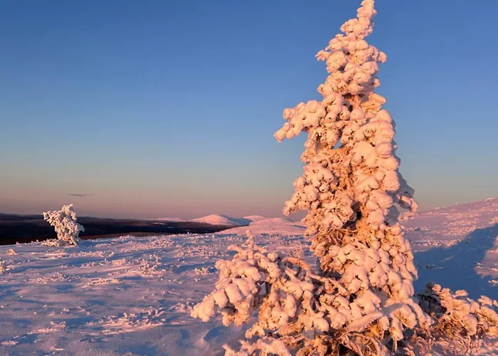 The Atmosphere Of In 別荘 *